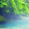 靄の中