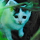 吾輩は猫である、ニャー # 657