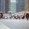 Rain 