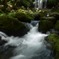 IMG_20180724_103949_382