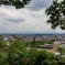 東山動物園一万歩コースその2