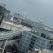 レインボーブリッジ