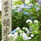於　頼光寺。
