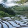 棚田の朝