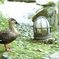 旅館にて