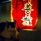 Lantern and cat