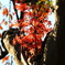 紅葉 077