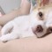 くー
