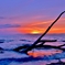 夕流木