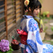 浴衣と紫陽花2