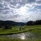 棚田と雲