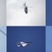 航空祭：画角換算600mmの現実