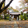 東大和市　日枝神社
