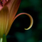 notitled