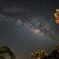 一度は見に行きたかった宮古島の星空！
