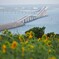宮古島　伊良部大橋