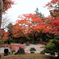 円通院 紅葉真っ盛り