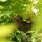 IMG_20190629_034354_392