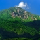 緑化した山頂