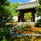 建仁寺禅居庵の桔梗