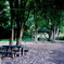 「benches 02」 (film)
