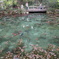 mOne LAke