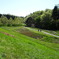 tSubaTa gREen laNd