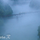Fog