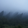 雨
