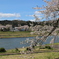 角館（秋田県）にて H29.5.1／02