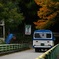 紅葉とバス