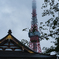東京タワー2