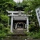 緑の神社