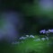 ひっそりと・・