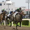 ナイター競馬 2