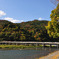 渡月橋