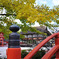 神社にて　①
