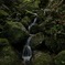 滝へ2