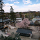 一本桜のある神社