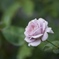 fullsizeoutput_294a