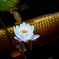 鯉の花飾り？