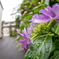 6月感。