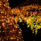 illumination#3