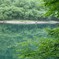 緑の中