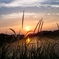 6F863446-B4CF-4E98-B0A4-8D93D8953534