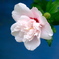 9FBD69A5-5305-44B8-95FB-342E73A45AA7