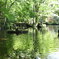 岐阜公園