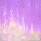 Wisteria