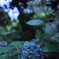 CEC6D31A-7F72-416D-9B97-7BBB0241B65C