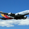 アシアナ航空 A380 (HL7626)